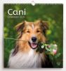 Immagine di Dogs 2027 wall Calendar cm 31x33 (12,2x13 in)