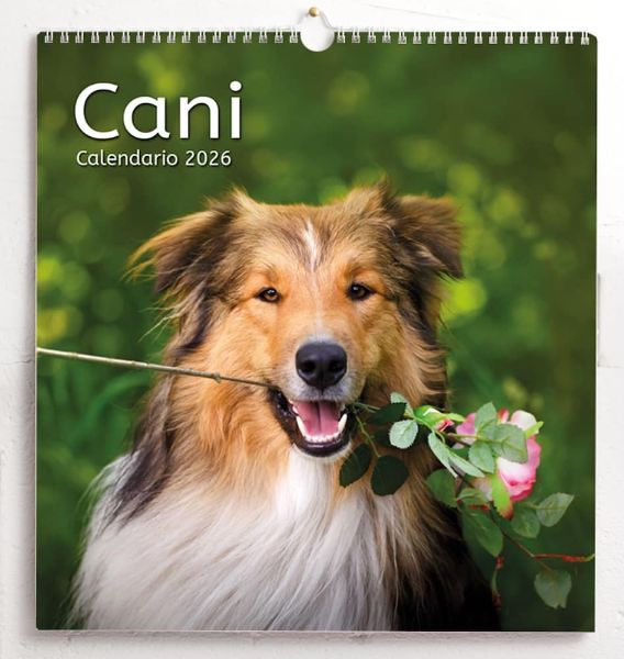 Picture of Hundekalender 2027 cm 31x33