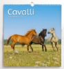 Immagine di Pferdekalender 2027 cm 31x33