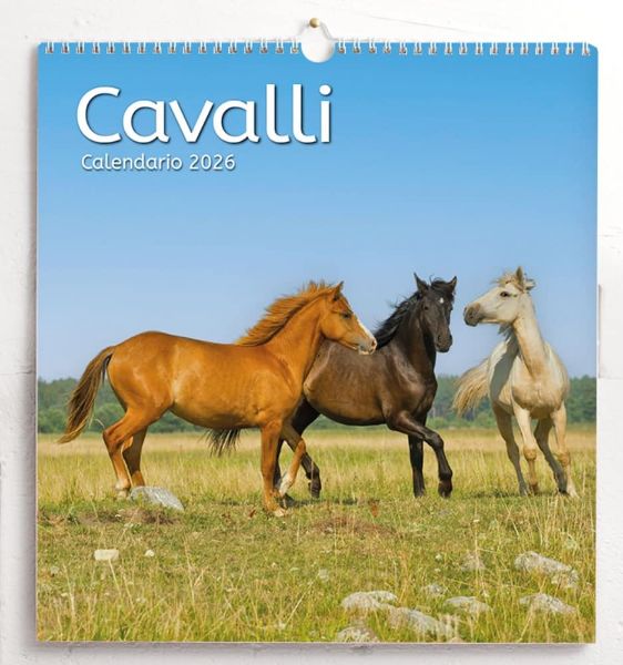 Immagine di Chevaux Calendrier mural 2027 cm 31x33