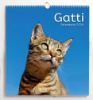 Imagen de Chats Calendrier mural 2027 cm 31x33