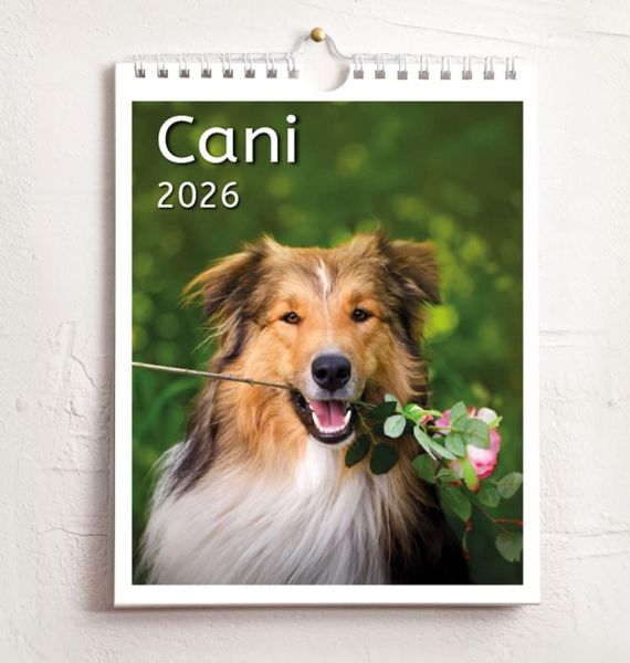 Immagine di Cani Calendario da tavolo e da muro 2027 cm 16,5x21