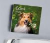 Picture of Cani Calendario magnetico 2027 cm 8x8