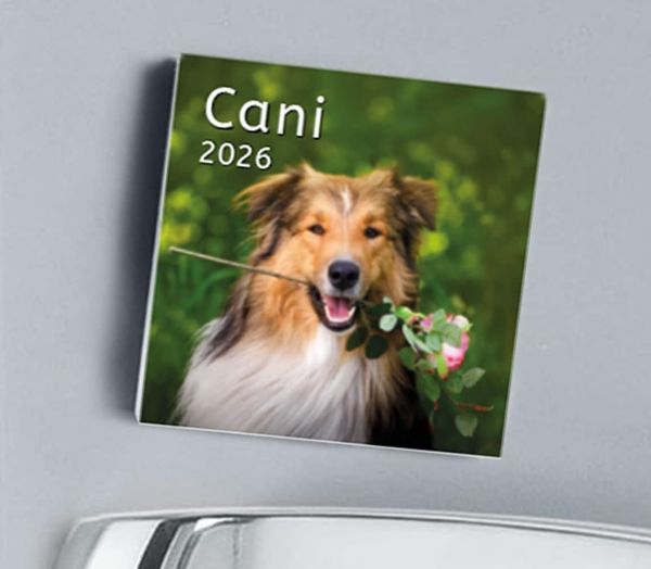 Picture of Cani Calendario magnetico 2027 cm 8x8