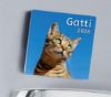 Imagen de Cats  2027 magnetic calendar cm 8x8 (3,1x3,1 in)