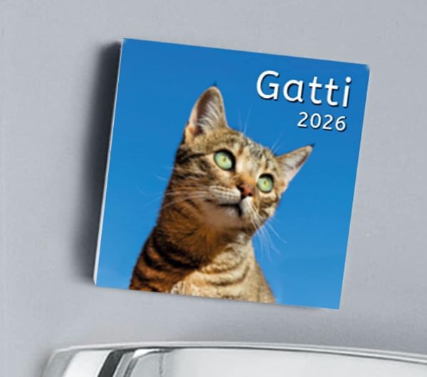 Immagine di Gatti Calendario magnetico 2027 cm 8x8