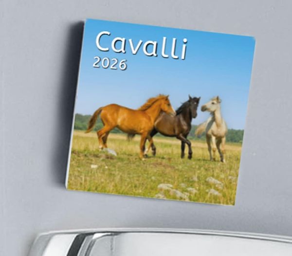 Imagen de Cavalli Calendario magnetico 2027 cm 8x8