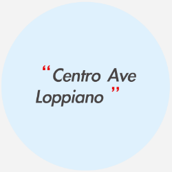 Immagine per il produttore Centro Ave Loppiano Catalogo