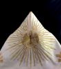 Picture of Humeral Veil with rich floral embroidery with Lamb and Pelican